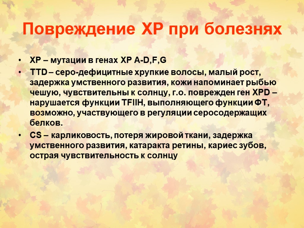 Повреждение ХР при болезнях ХР – мутации в генах XP A-D,F,G TTD – серо-дефицитные